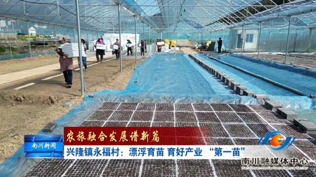 《农旅融合发展谱新篇》春耕春管正当时 产业振兴谱新篇