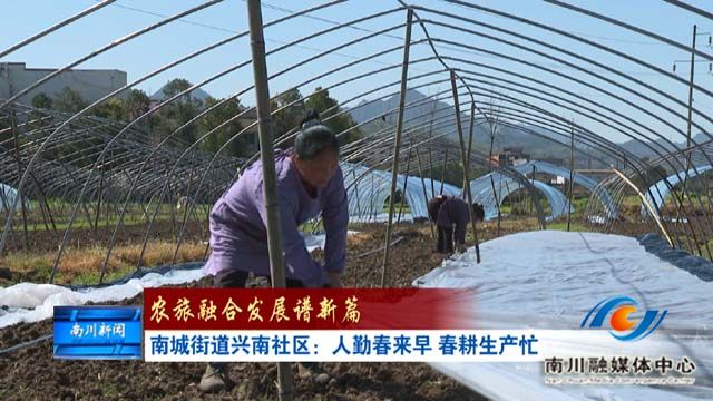 《农旅融合发展谱新篇》南城街道兴南社区：人勤春来早 春耕生产忙