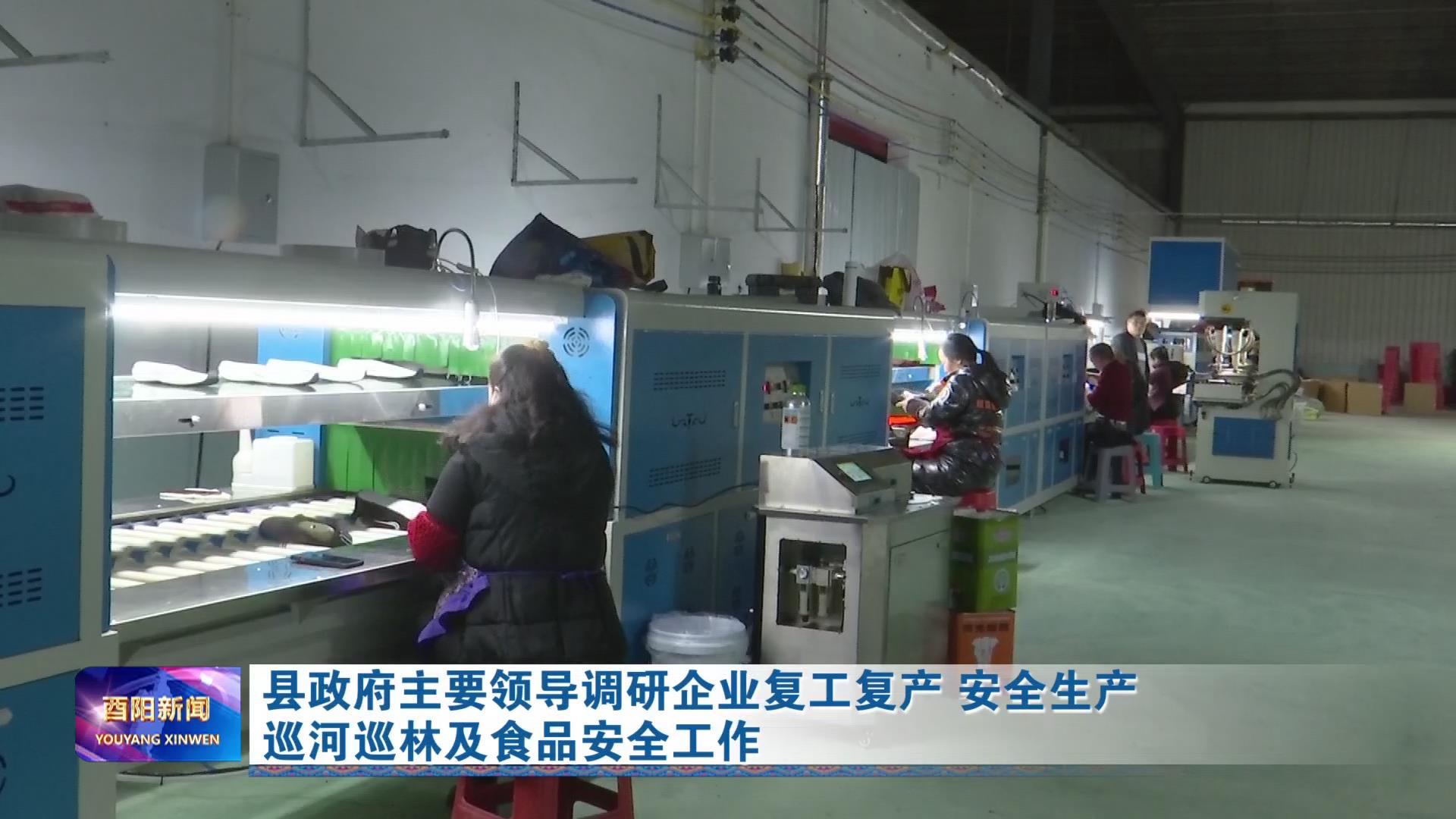 县政府主要领导调研企业复工复产 安全生产巡河巡林及食品安全工作