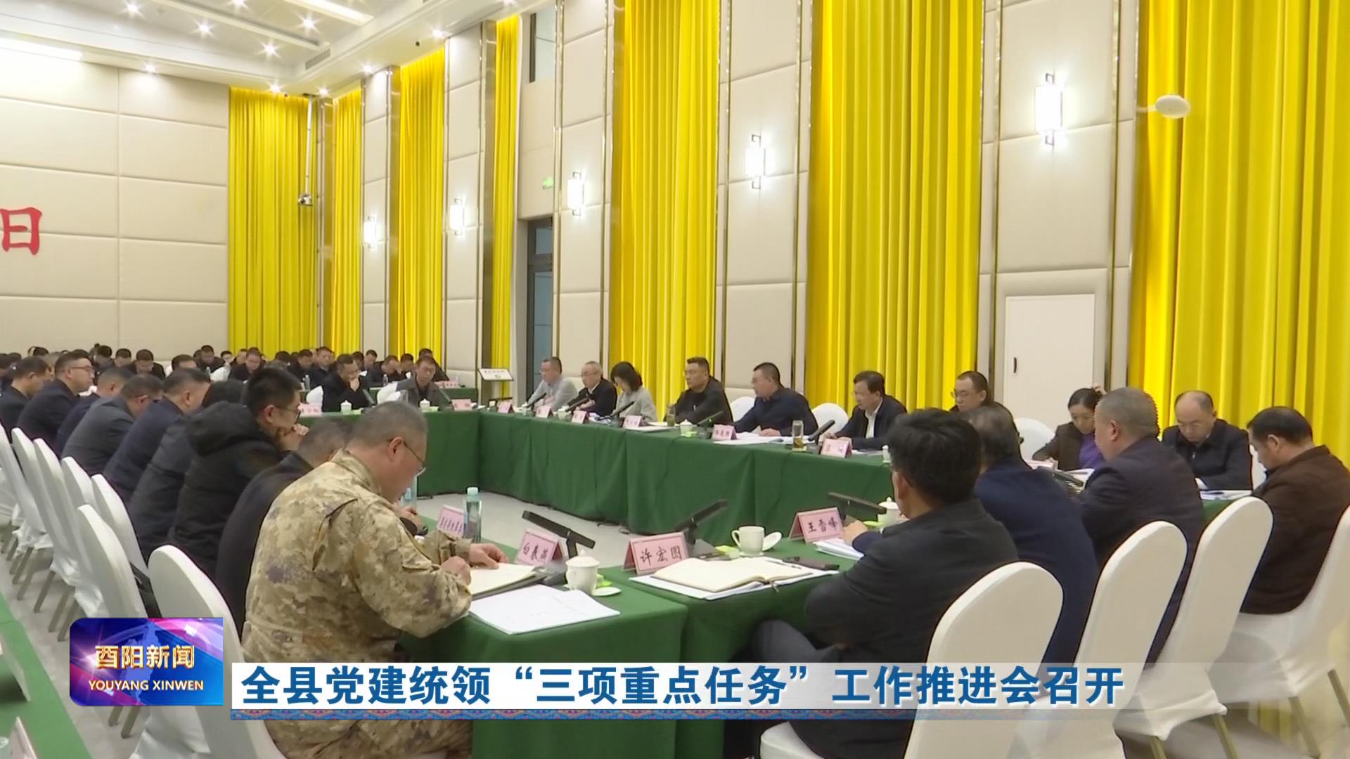 全县党建统领“三项重点任务”工作推进会召开