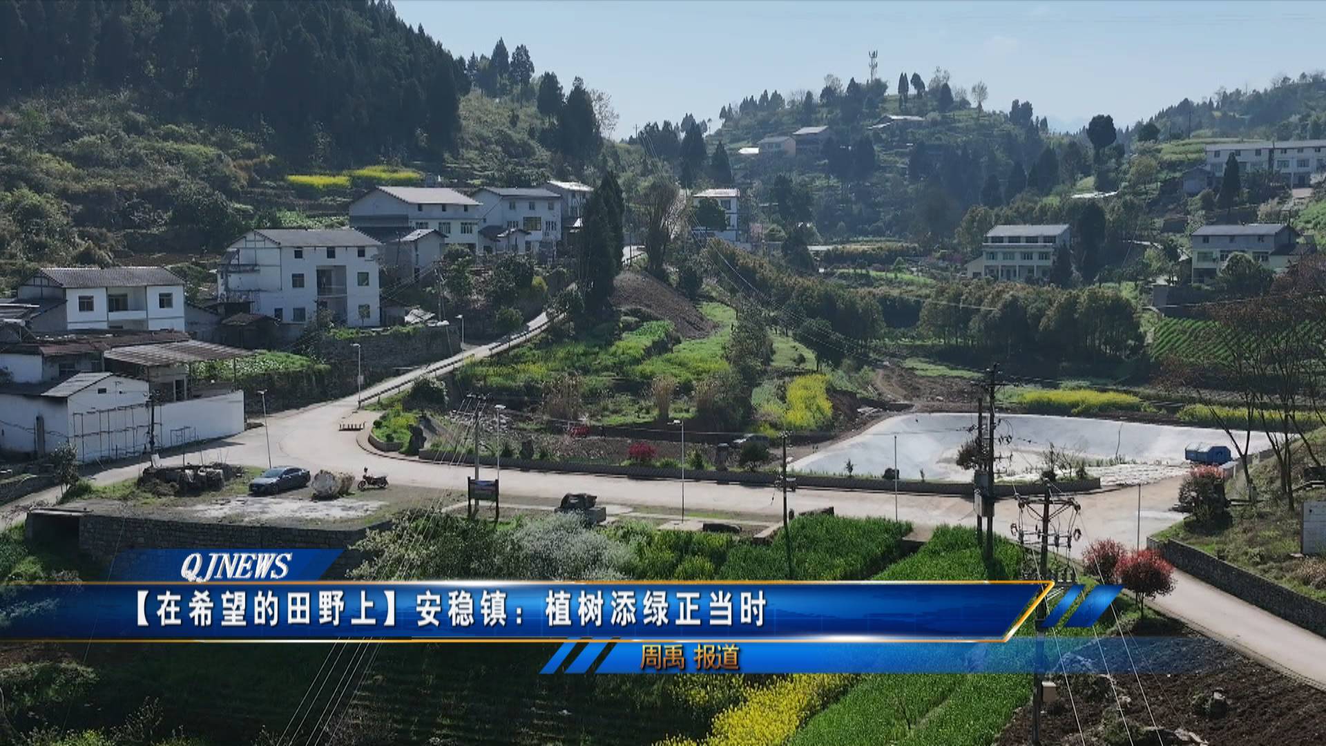 【在希望的田野上】安稳镇：植树添绿正当时