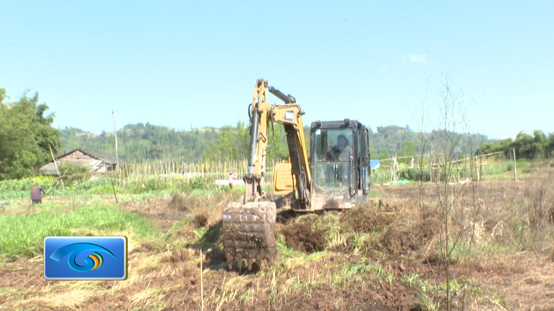 育苗、开荒、管护忙 双槐镇田间地头孕育丰收希望