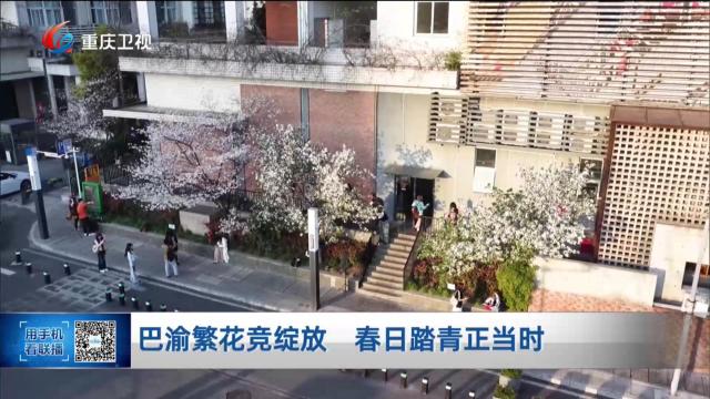 巴渝繁花竞绽放 春日踏青正当时