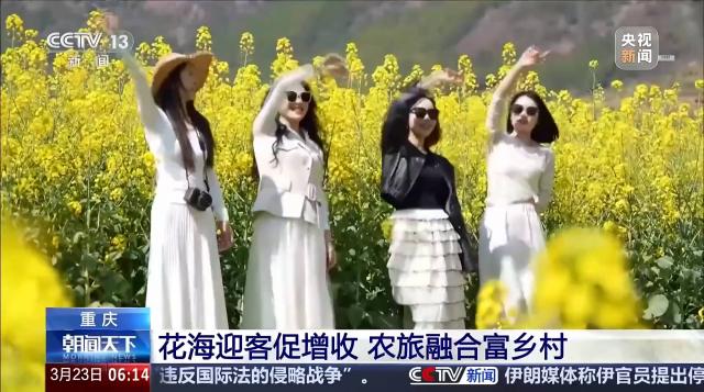 重庆：花海迎客促增收 农旅融合富乡村