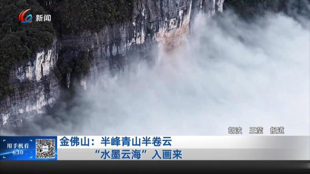 金佛山：半峰青山半卷云 “水墨云海”入画来