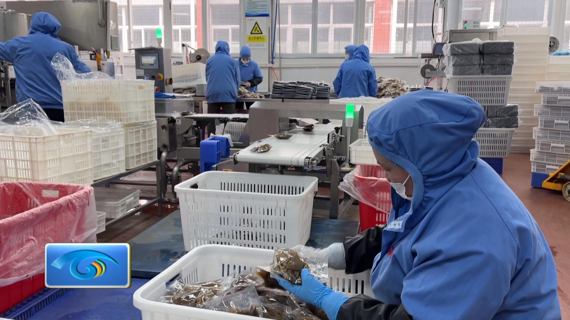 我区一季度发放1200万免担保创业贷款 助力小微企业轻装上阵