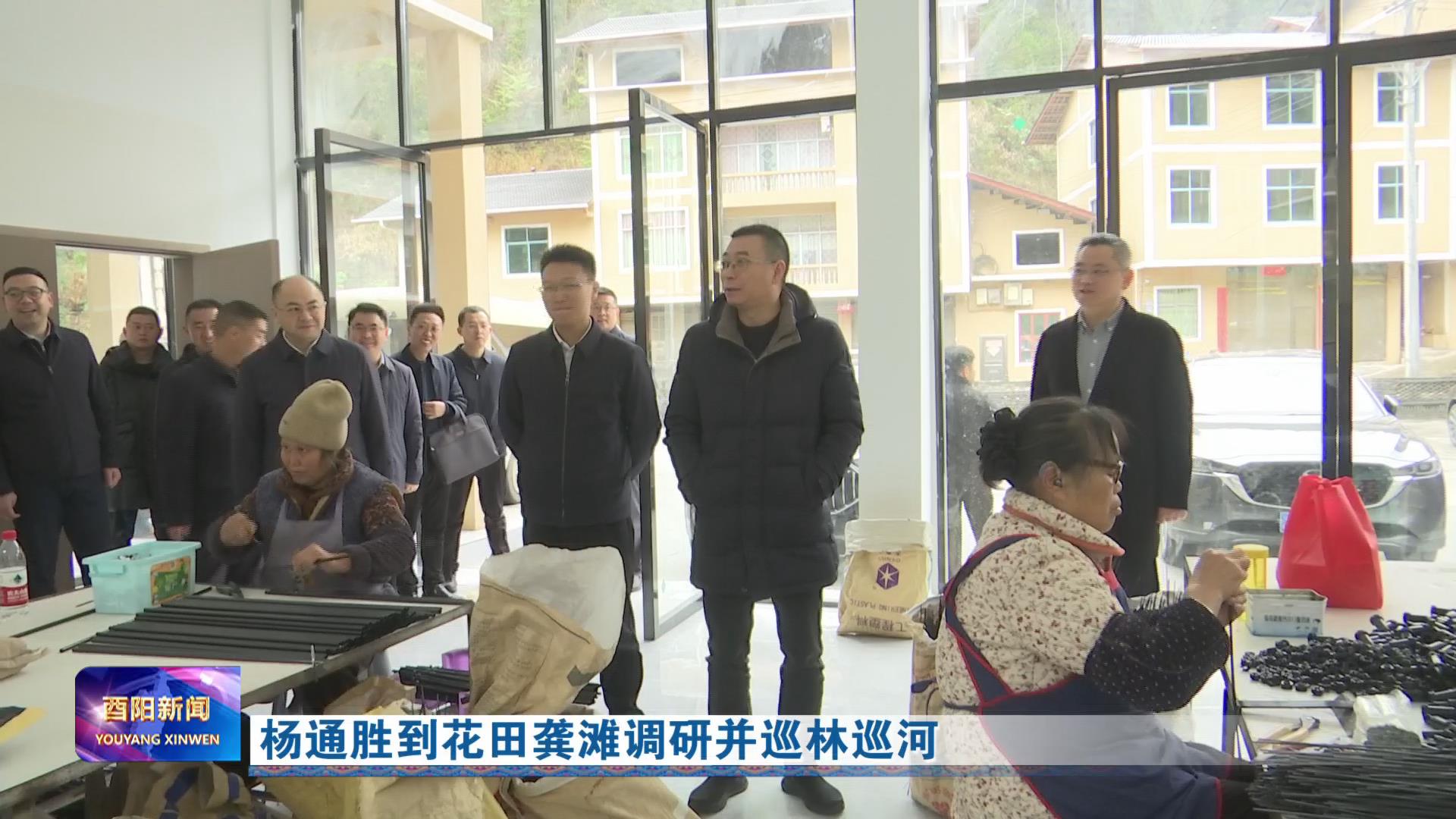 杨通胜到花田龚滩调研并巡林巡河
