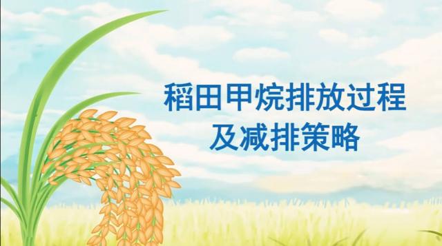 【农技慕课】稻田甲烷排放过程及减排策略（一）