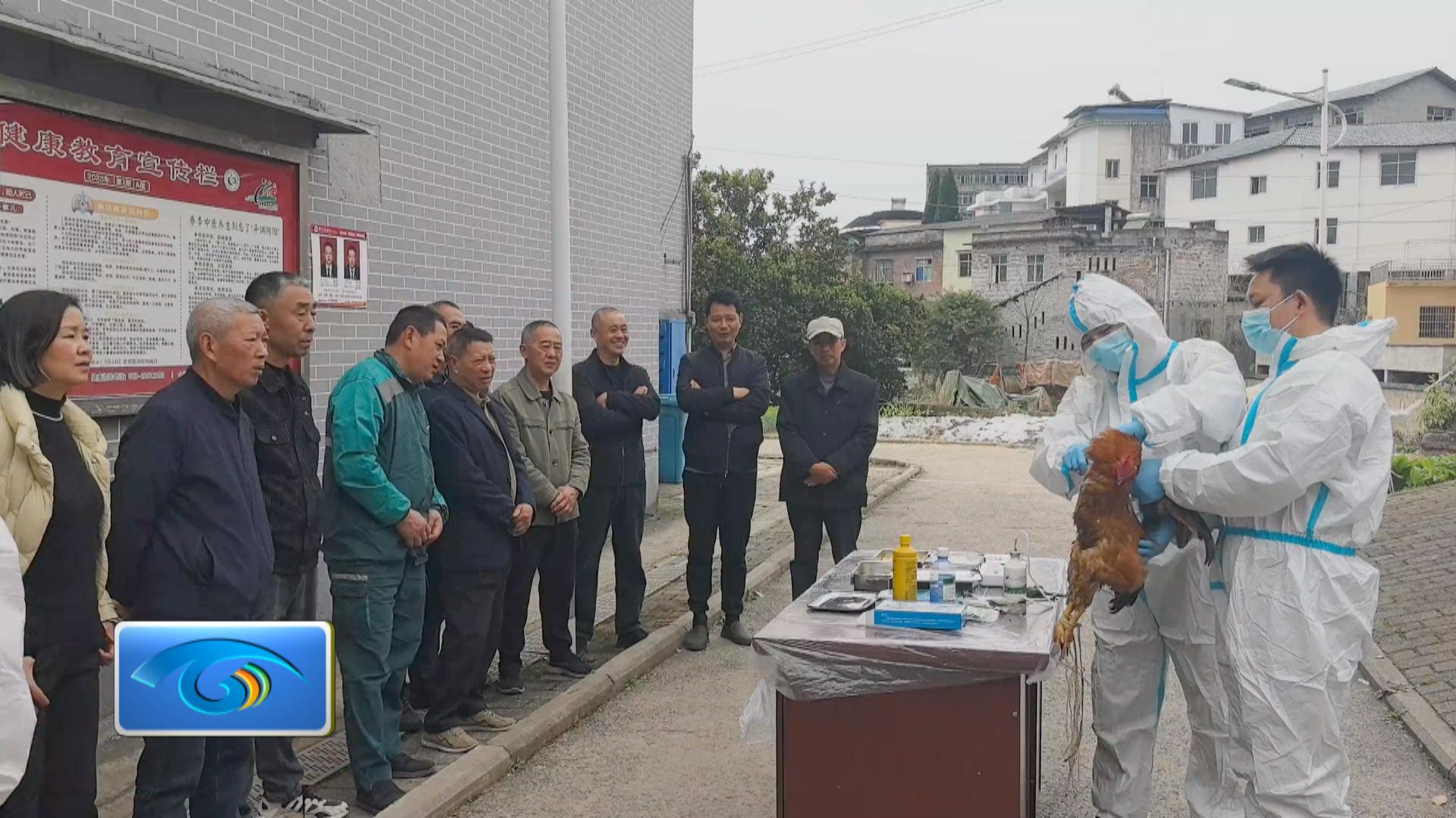 渭沱镇开展家禽疫苗注射培训 