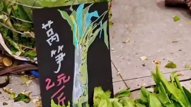 重庆一高校师生带着画具、纸板来到防空洞“背篓菜市” 免费为菜农手绘价格招牌