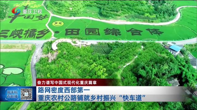 路网密度西部第一 重庆农村公路铺就乡村振兴“快车道”