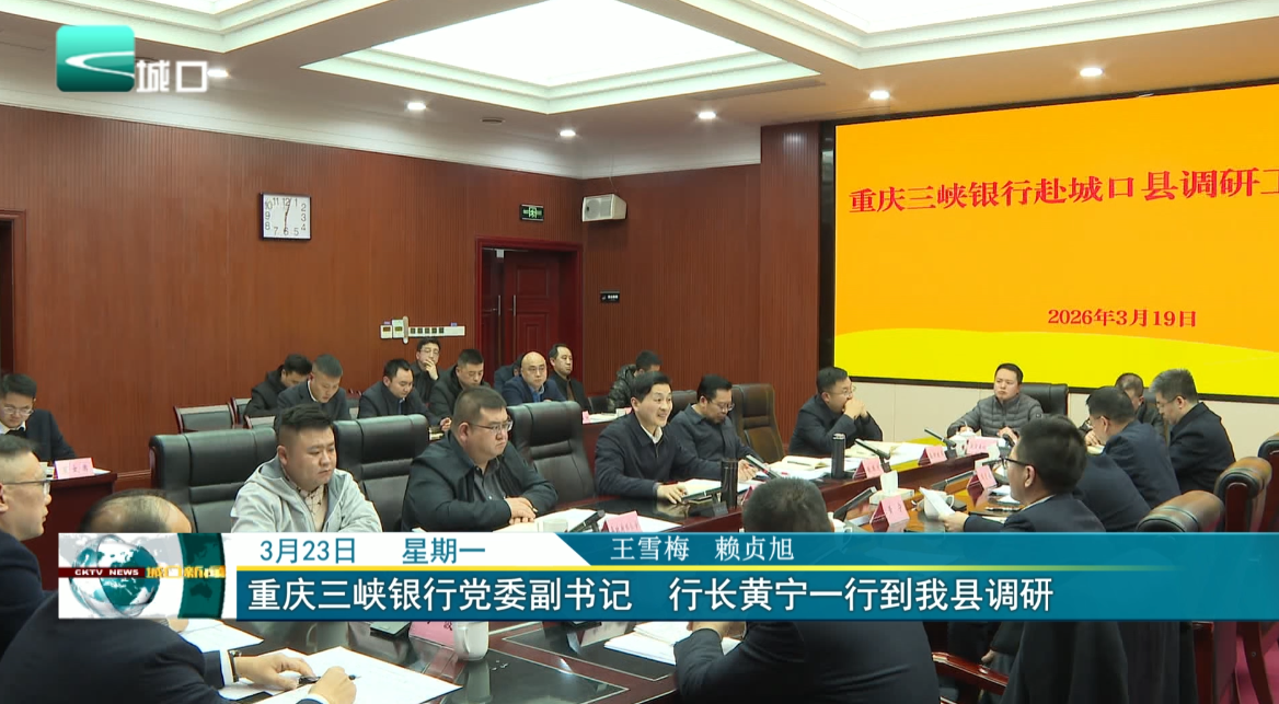 重庆三峡银行党委副书记、行长黄宁一行到我县调研