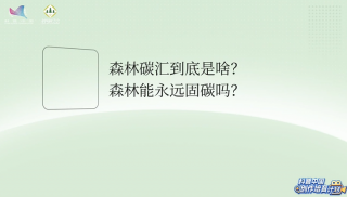 【自然有发现】森林碳汇到底是啥？森林能永远固碳吗？