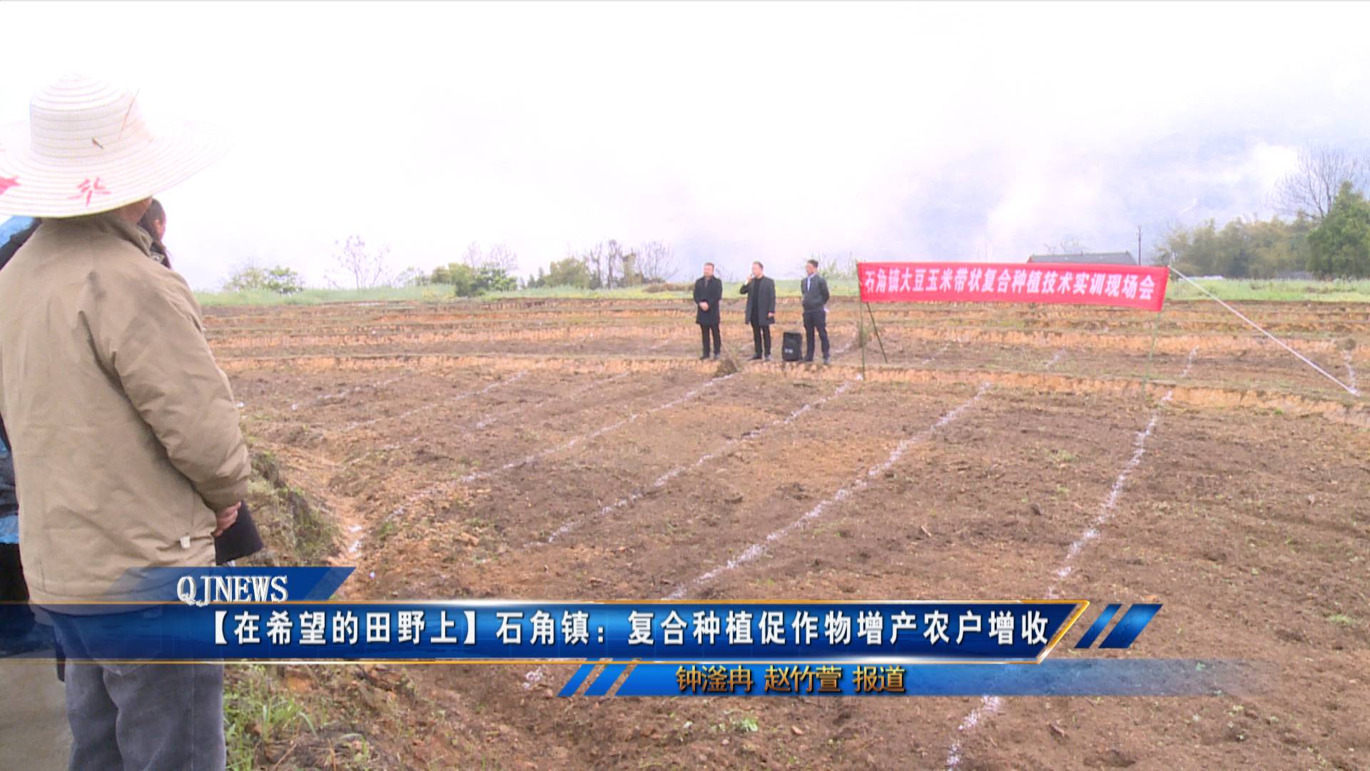 【在希望的田野上】石角镇：复合种植促作物增产农户增收
