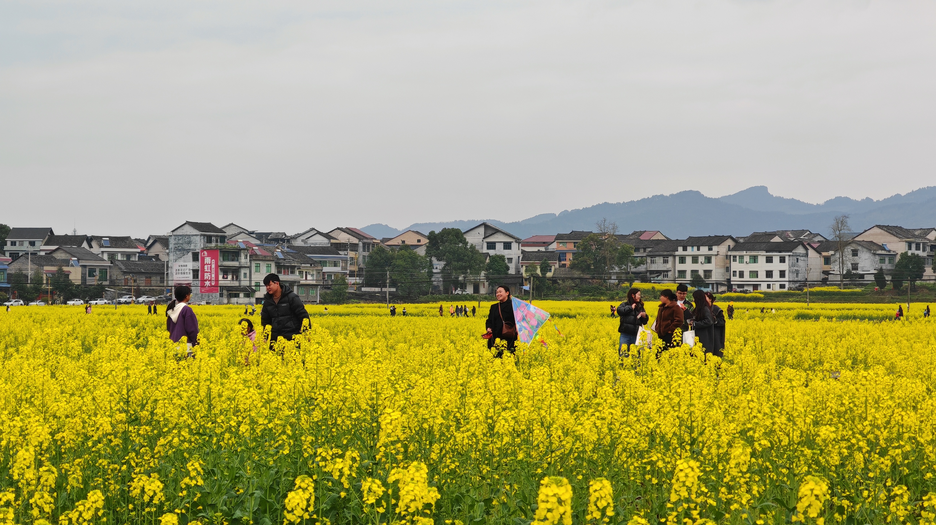 2cc5752346da052702cfdbb207b66d9.jpg 2cc5752346da052702cfdbb207b66d9.jpg