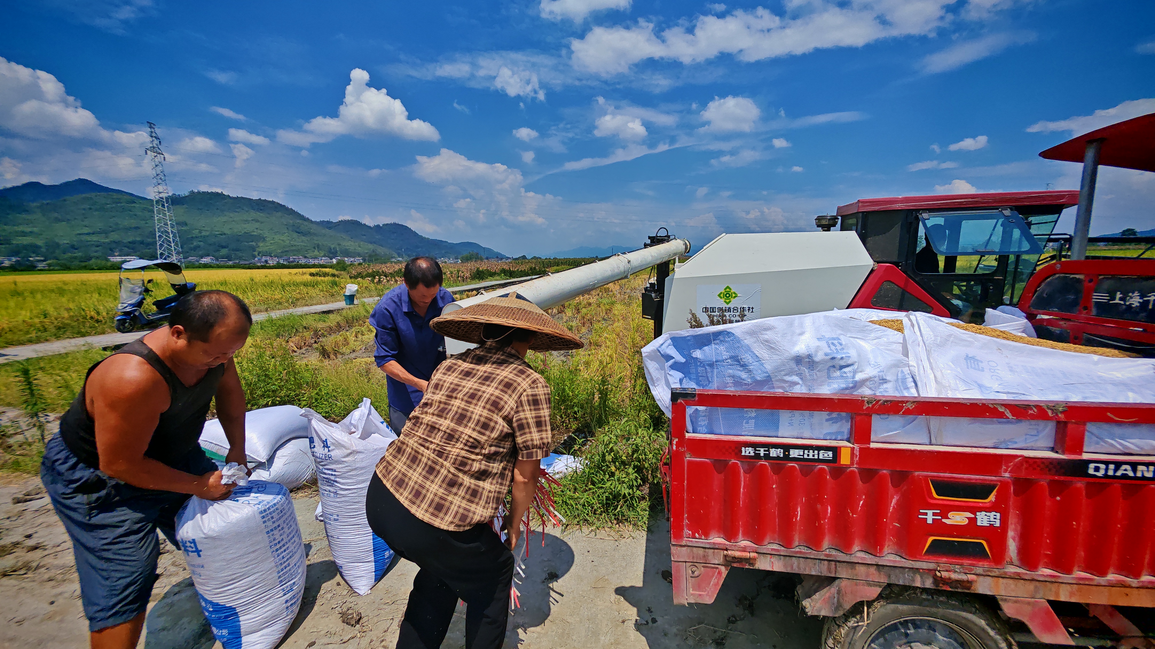 0cb3ee05b09a3c9c426fa712ddabc2fe.jpg 0cb3ee05b09a3c9c426fa712ddabc2fe.jpg