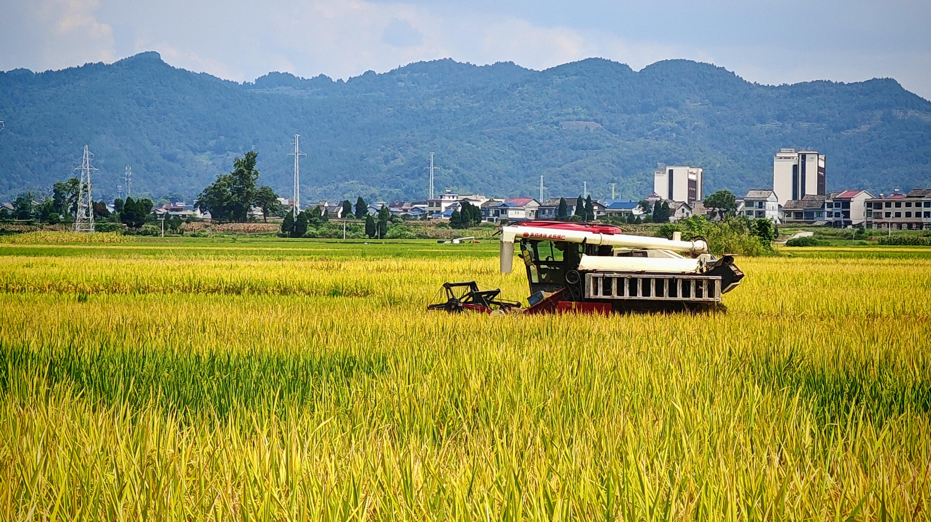 3dfad6561cef1e988b1356fd53811bef.jpg 3dfad6561cef1e988b1356fd53811bef.jpg