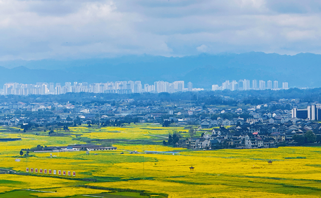 重庆秀山：高标准农田绘就乡村振兴新画卷