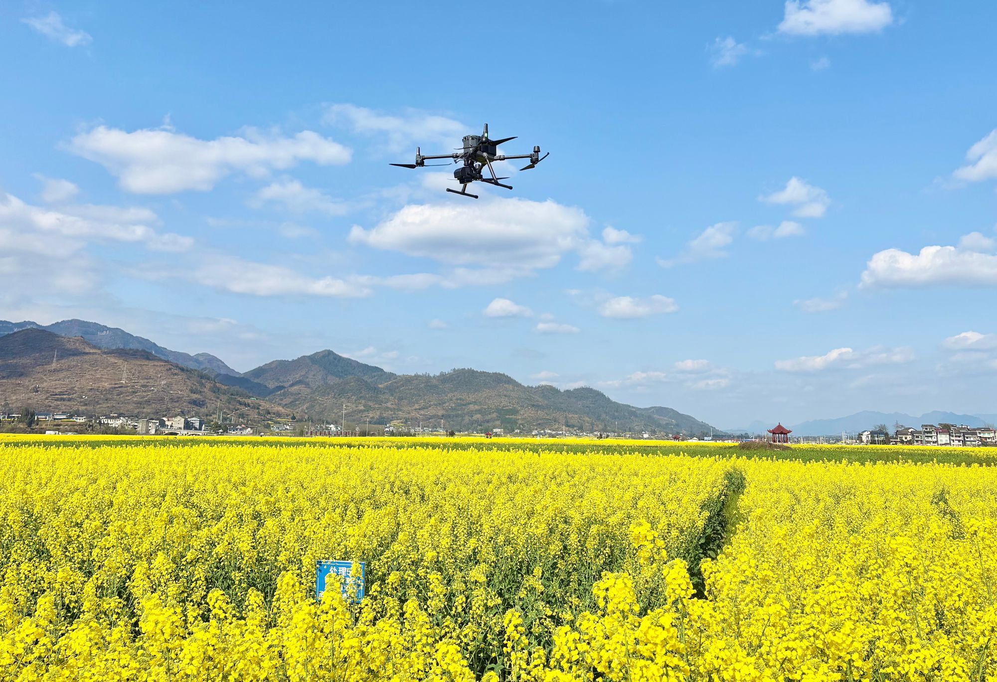 微信图片_20260305124436_165_12_副本.jpg 微信图片_20260305124436_165_12_副本.jpg