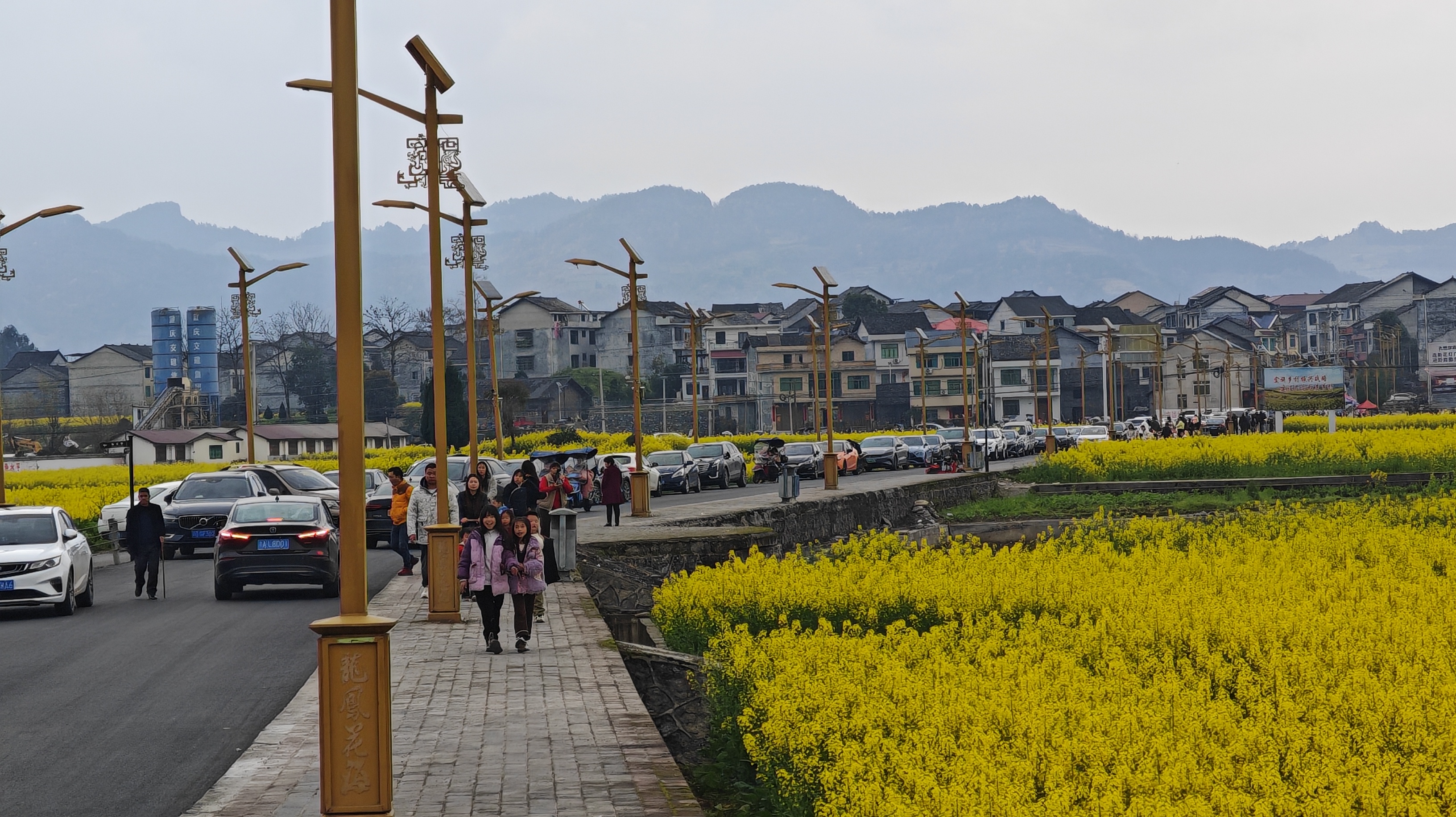 79028124f051c8f1429d03198fc1da8.jpg 79028124f051c8f1429d03198fc1da8.jpg