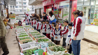 石新路社区联合种子市场开展春耕邻里活动