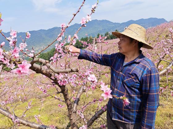 忠县：花间春管忙