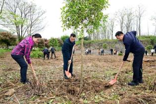 覃昌德曾荣黄红参加义务植树活动