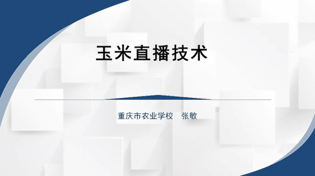 【农技慕课】玉米直播技术