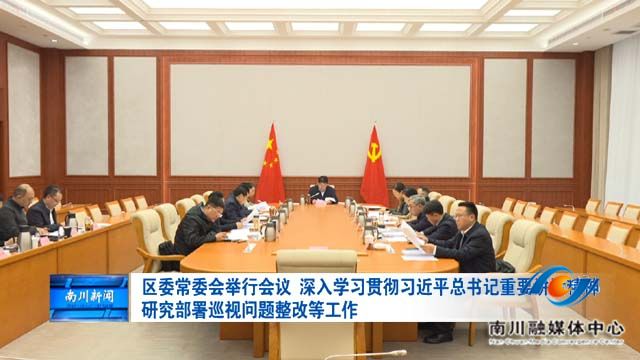 区委常委会举行会议 深入学习贯彻习近平总书记重要讲话精神 研究部署巡视问题整改等工作