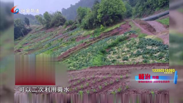 被粪水毁坏的农田