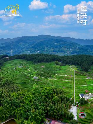 铜梁谭洪村：毓青云雾里，谭洪一壶春