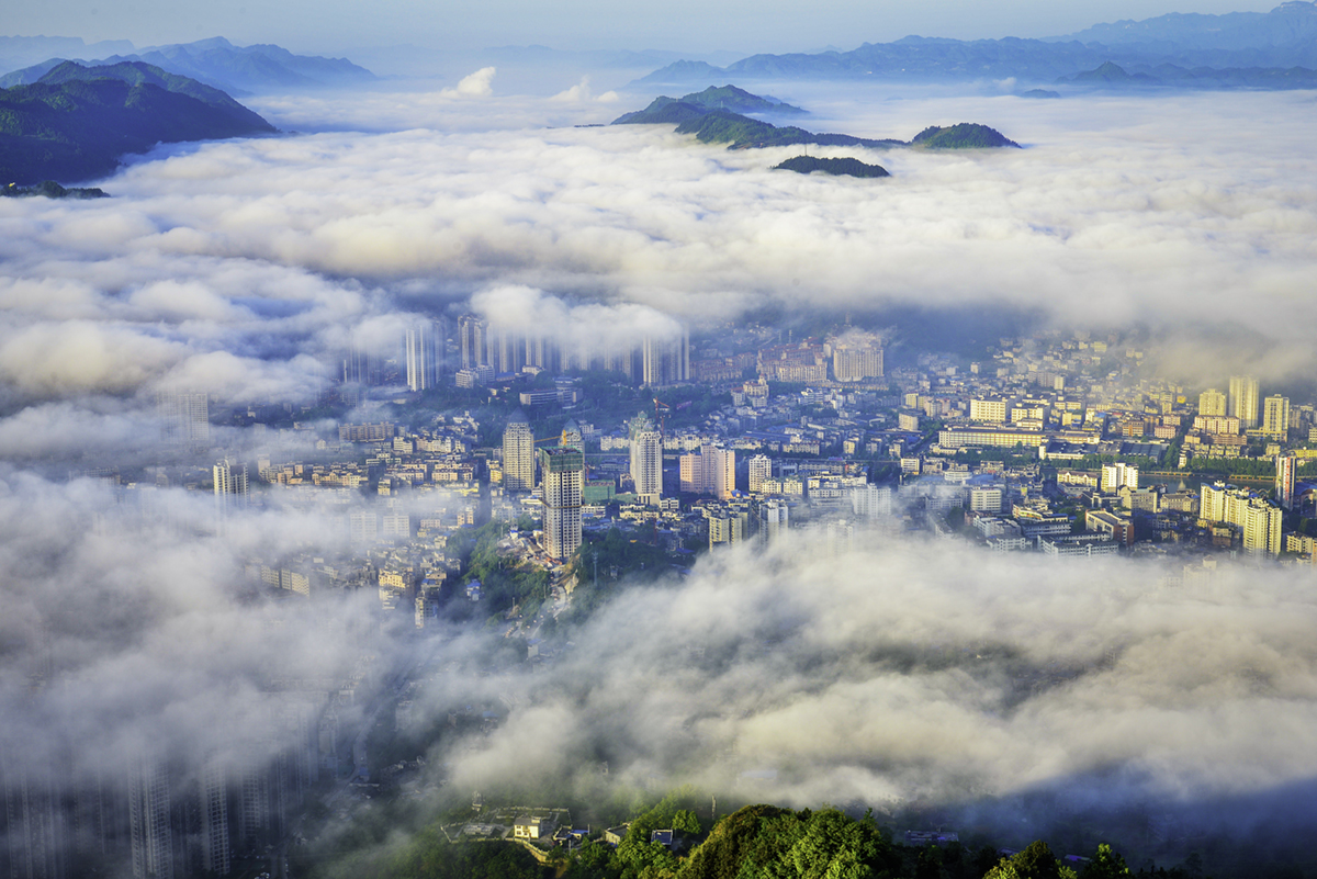 五届区政府召开第106次常务会议