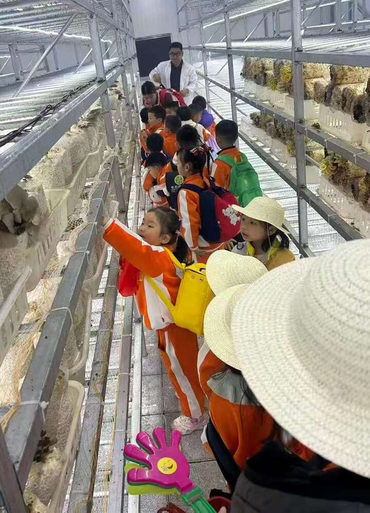 英雄湾村“蘑菇家族”食用菌体验中心研学基地迎来首批小访客。.jpg