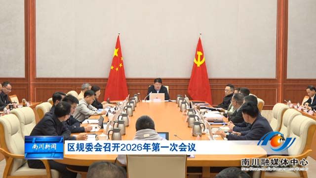 区规委会召开2026年第一次会议
