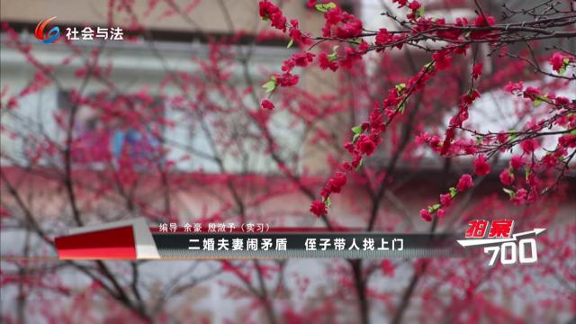 二婚夫妻闹矛盾 侄子带人找上门