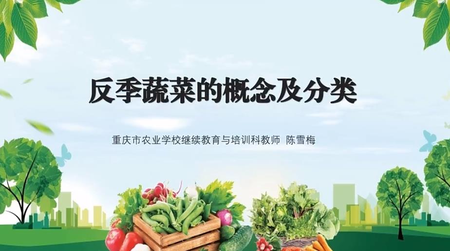 【农技慕课】反季蔬菜的概念及分类