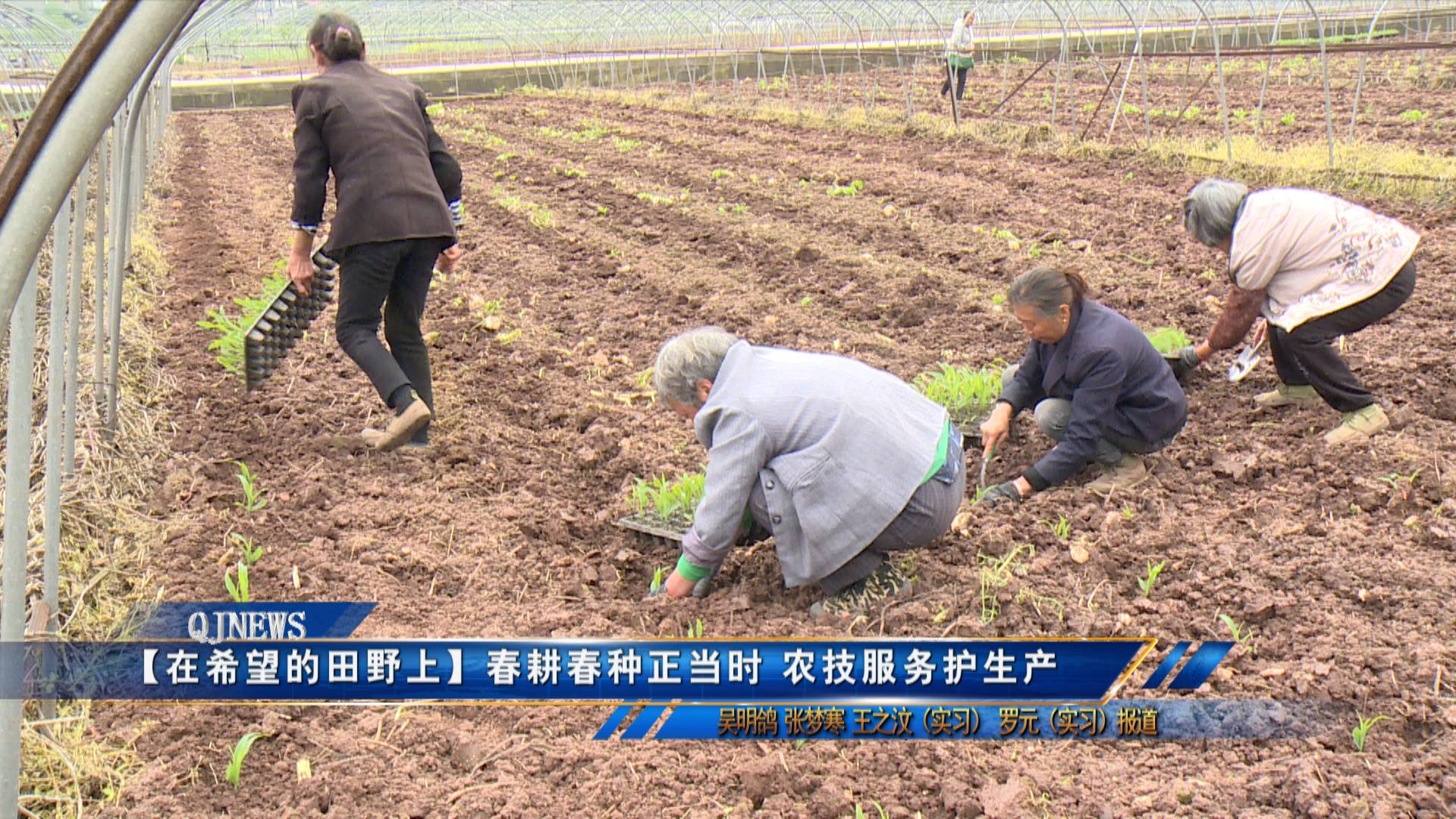 【在希望的田野上】春耕春种正当时 农技服务护生产