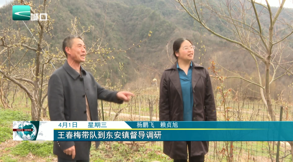 王春梅带队到东安镇督导调研