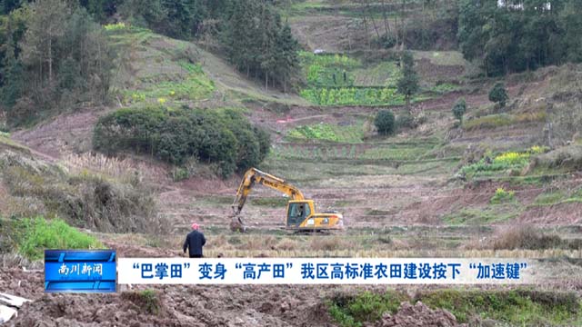 “巴掌田”变身“高产田” 我区高标准农田建设按下“加速键”