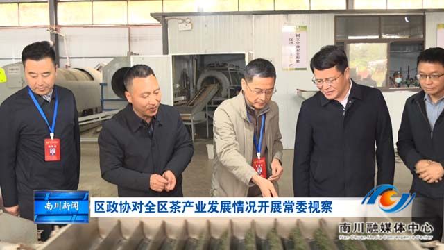 区政协对全区茶产业发展情况开展常委视察
