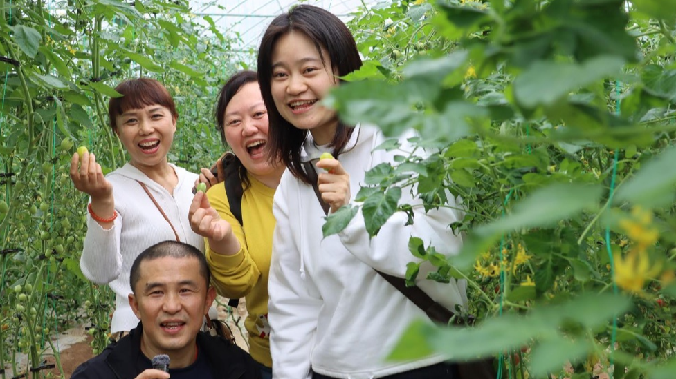 巴南：乡村采摘游持续升温