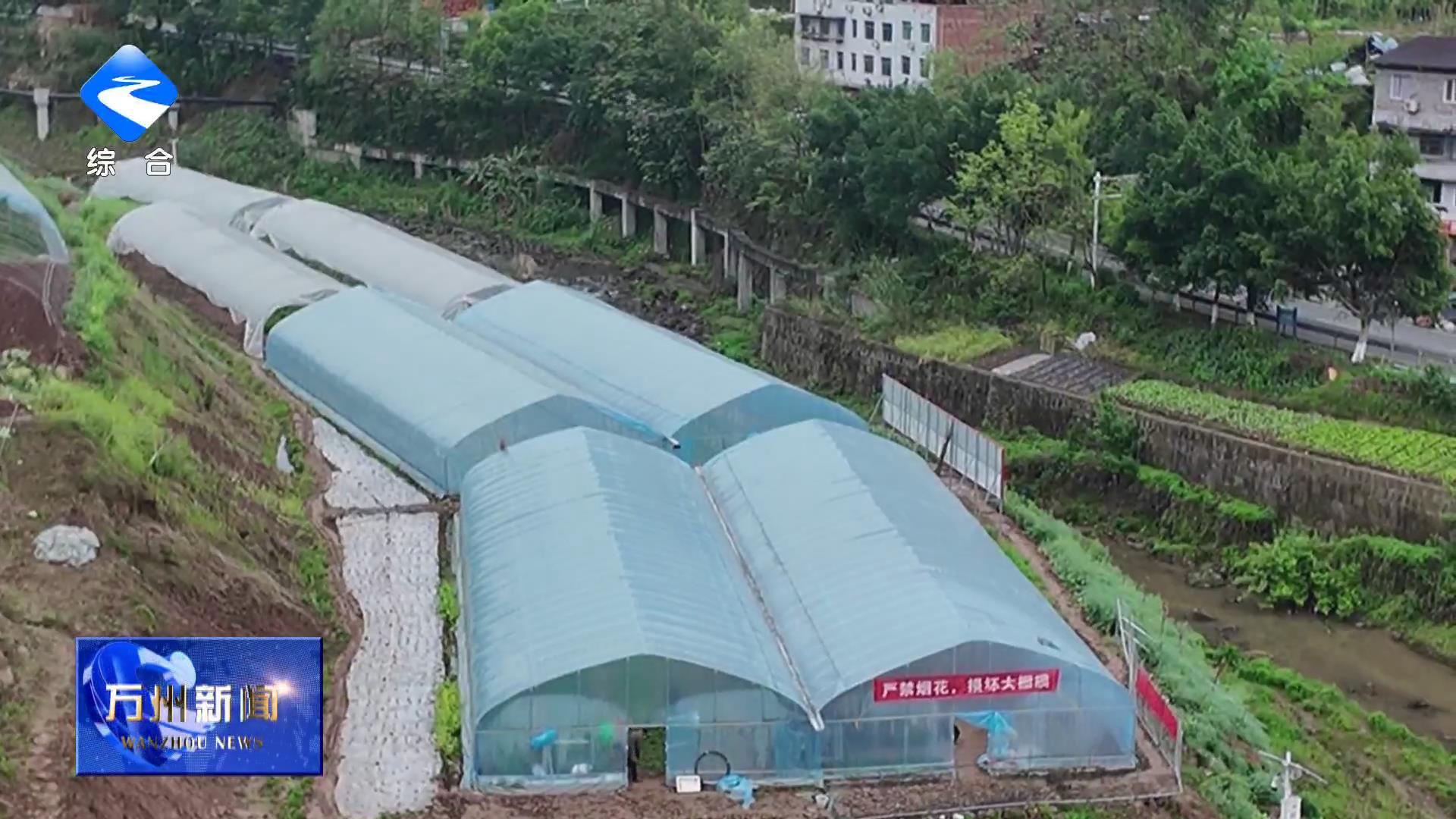 长岭镇：人勤春早育苗忙 不负农时启新程