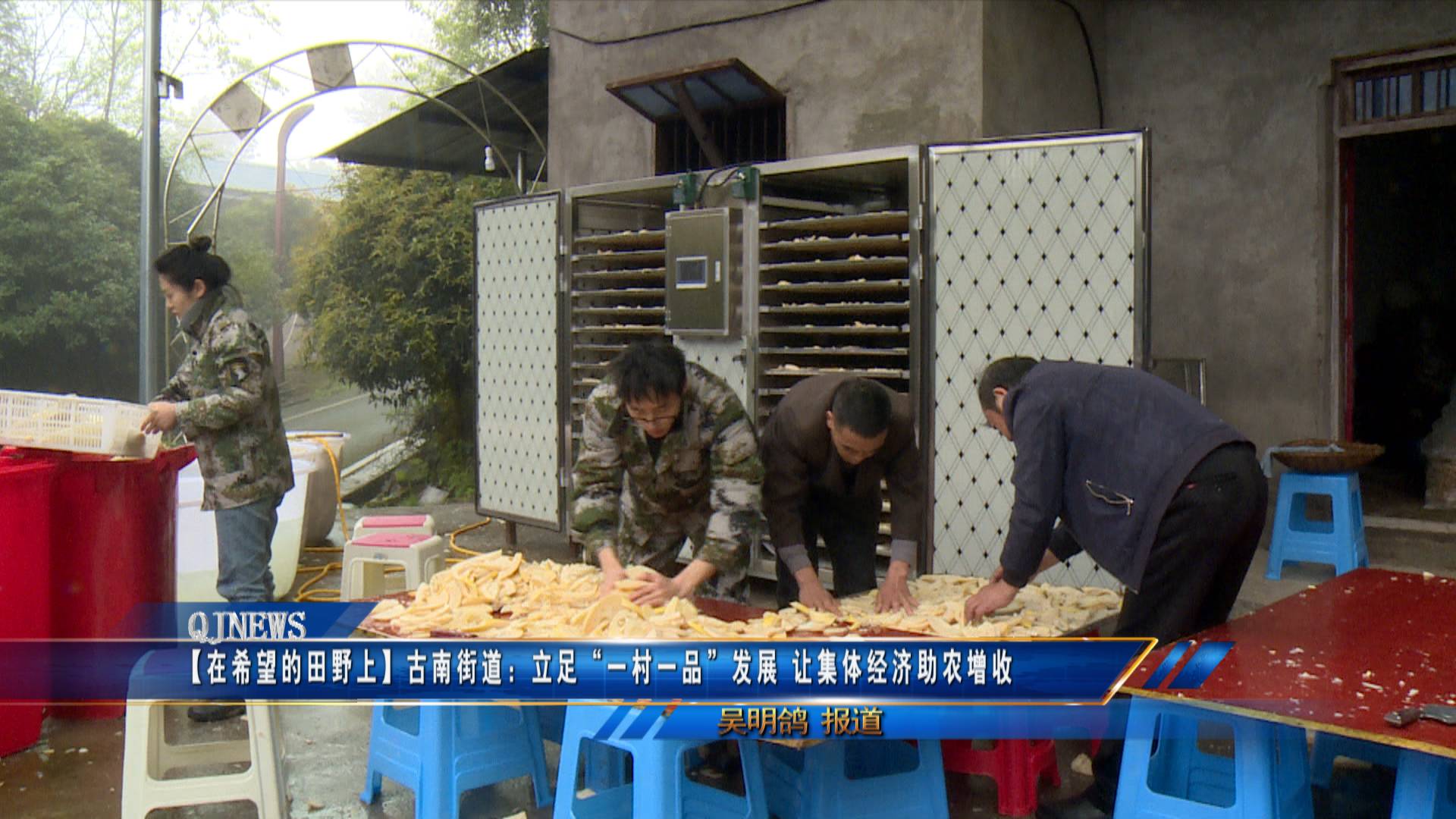 【在希望的田野上】古南街道：立足“一村一品”发展 让集体经济助农增收