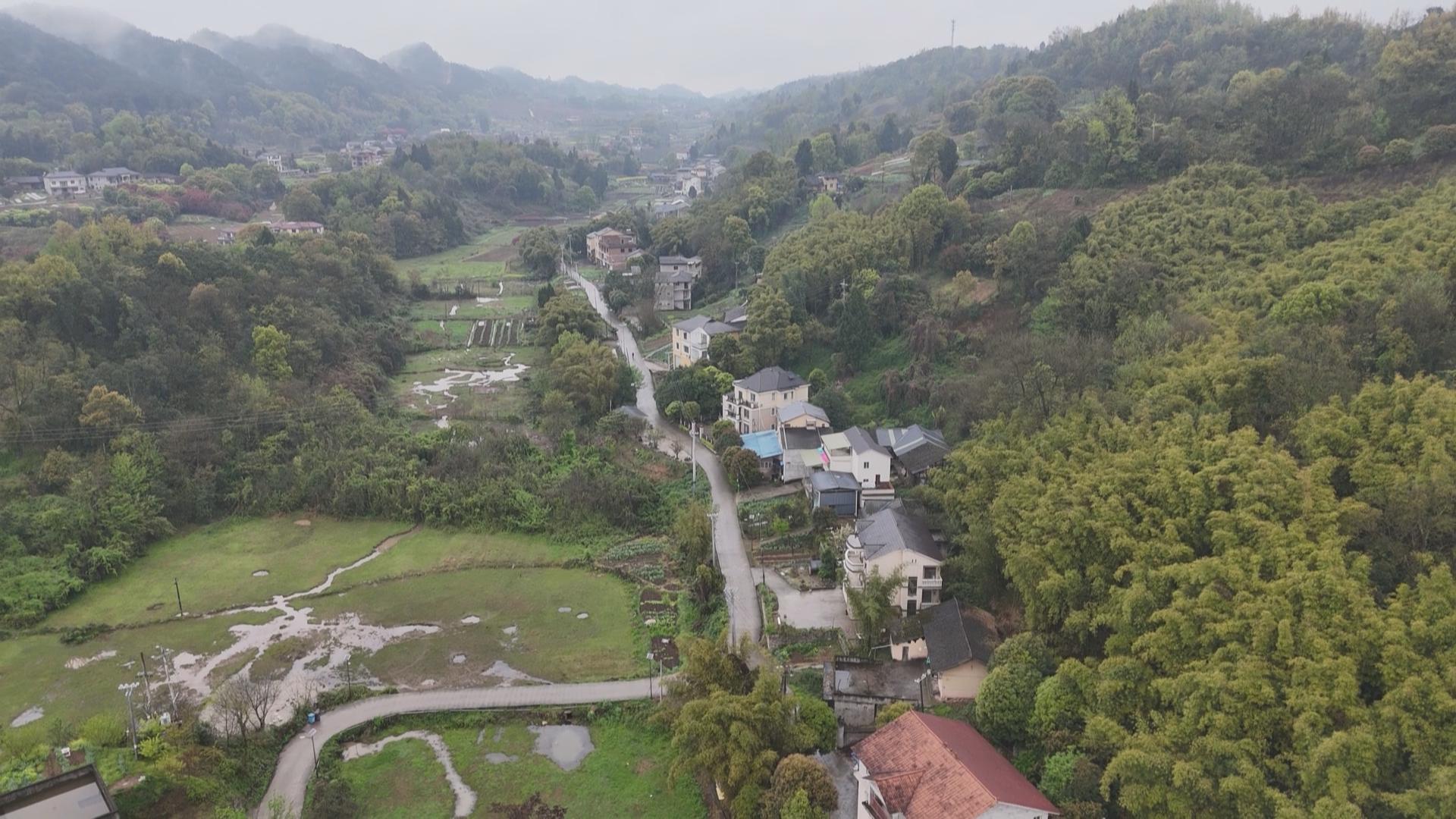 今日关注：路灯集体“罢工” 丰北路的“隐形”危机何时解除？