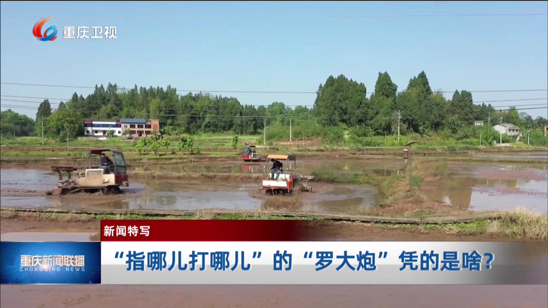 “指哪儿打哪儿”的“罗大炮”凭的是啥？