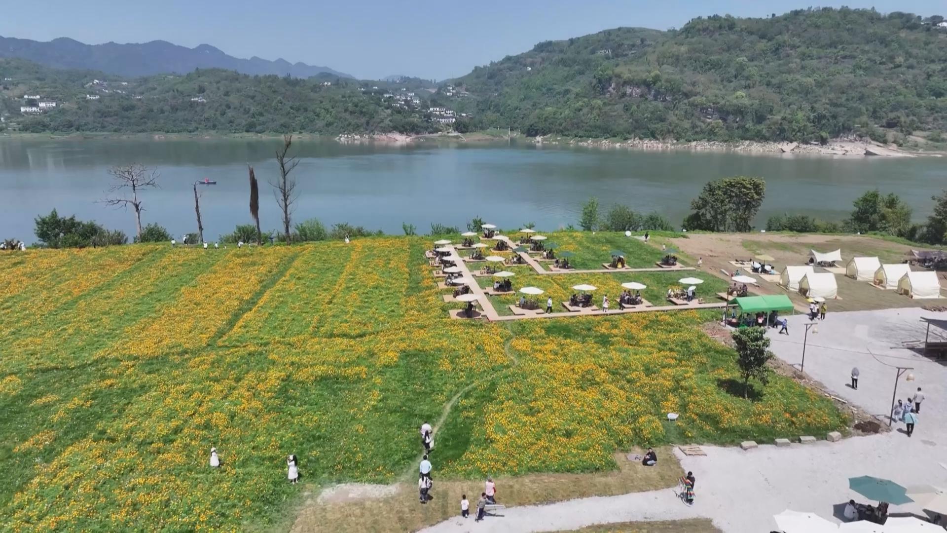 巴南再添文旅新地标 木洞中坝岛试运行开岛迎客