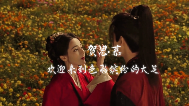 用白日提灯的方式打开大美大足