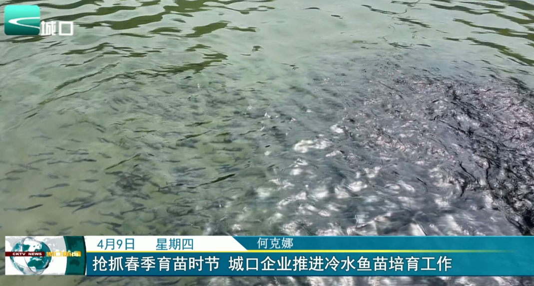 
抢抓春季育苗时节 城口企业推进冷水鱼苗培育工作