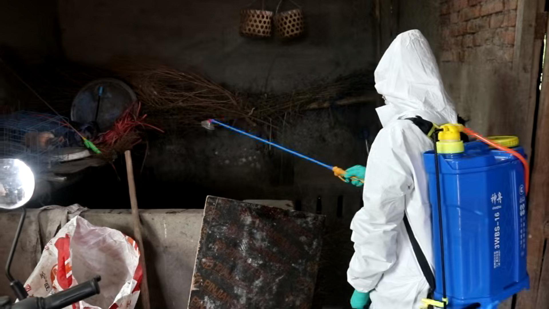 肖家镇：抓紧抓实春防工作 筑牢动物疫病“防火墙”