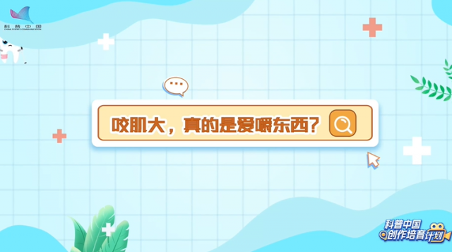 【牙齿别作妖】 咬肌大，真的是爱嚼东西？